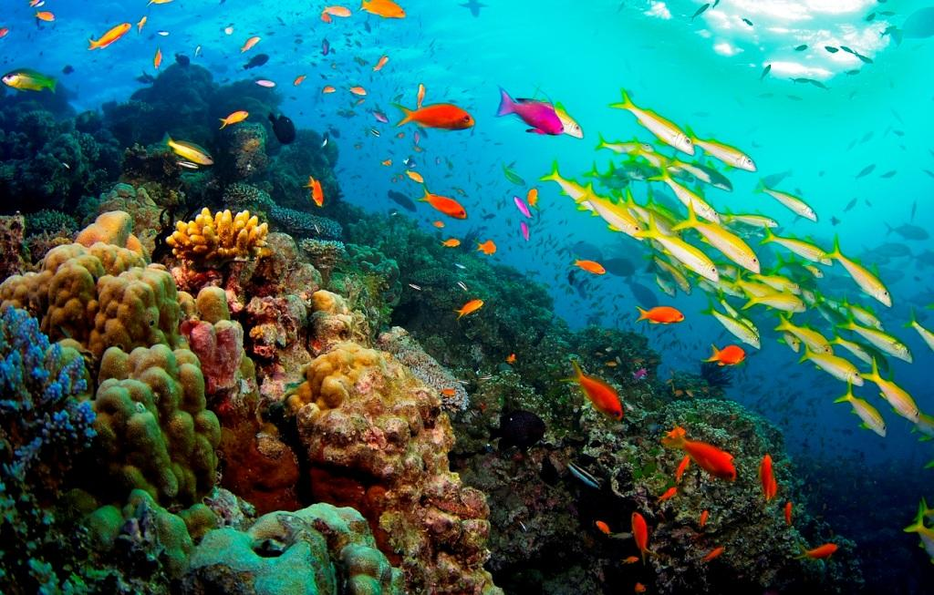 Top 5 National Reserves in the World