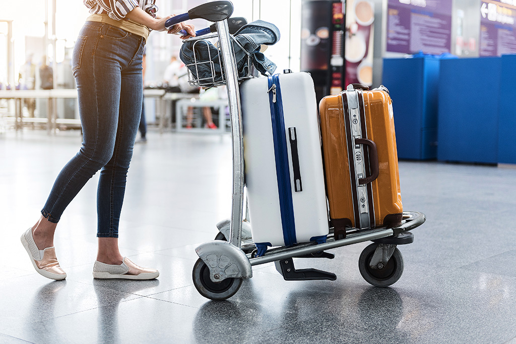 Rules for Carrying Baggage and Hand Luggage on an Airplane
